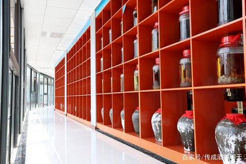 傳成酒械 來告訴你發酵時需要注意哪些