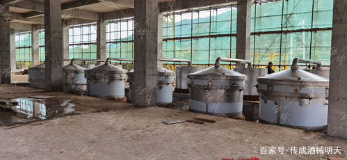 想要到傳成購(gòu)買(mǎi)一套釀酒設(shè)備要多少錢(qián)